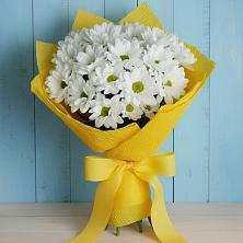 Букет Застенчивые лепестки в Анжеро-Судженске Букет цветов из:  Хризантемы в Анжеро-Судженске