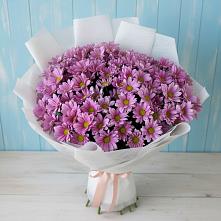 Букет цветов из:  Хризантемы в Анжеро-Судженске
