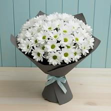 Букет белые хризантемы в Анжеро-Судженске Букет цветов из:  Хризантемы в Анжеро-Судженске