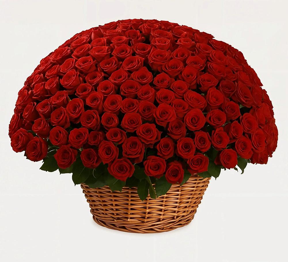 251 Премиум красная роза в Анжеро-Судженске Премиум букет из: Розы в Анжеро-Судженске
