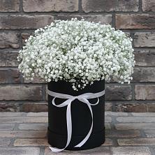 Композиция коробка гипсофил в Анжеро-Судженске Цветочная композиция из Гипсофила в шляпной коробке в Анжеро-Судженске